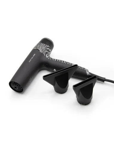 CORIOLISS WHISPER SILVER ZEBRA 1500-1800W
