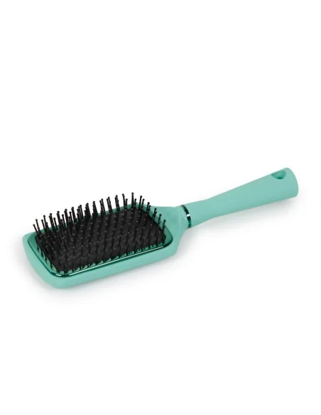 CORIOLISS KIT C1 MINT GREEN + PADDLE BRUSH