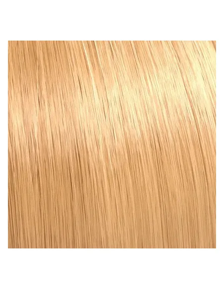 Wella Ilumina Color 10/34 - 60ml | Mathiss Ibiza