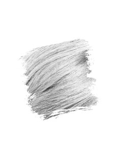 CRAZY COLOR Nº27 SILVER 100ML 2