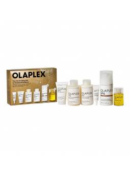 OLAPLEX THE FULL ON SHINE SET