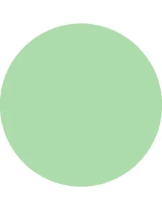 ***PURPLE PLASTIART LIGHT GREEN 5GR*** 2