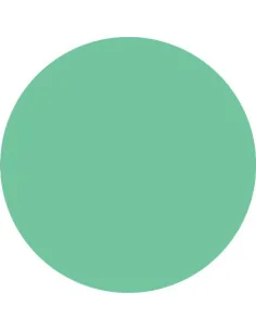 ***PURPLE PLASTIART MEDIUM GREEN 5GR*** 2