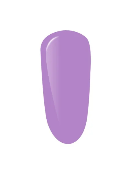 PURPLE GEL POLISH COLOR MAKE A WISH PRINCESS 10ML