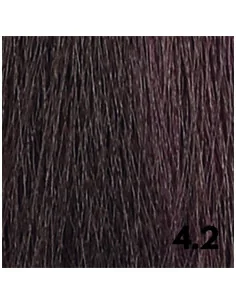 KAARAL BACO COLOR GLAZE 4.2 CASTAÑO MEDIO VIOLETA 60ML 2