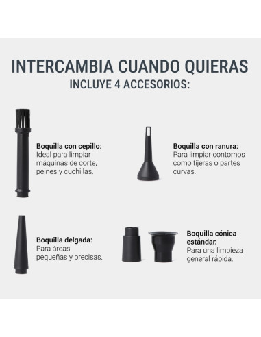 RAGNAR TURBO WIND SOPLADOR + ASPIRADOR