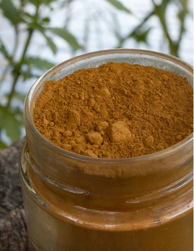 Gaia Red Reflejos Color Burdeos 175gr | Mathiss Ibiza