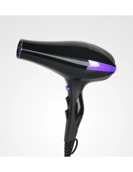 Pb Secador Profesional Ionic r-3900 | Mathiss Ibiza
