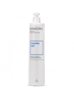 KINWORKS SHAPING WET 400ML