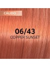 WELLA SHINEFINITY ZERO LIFT GLAZE 06/43 COOPER SUNSET 60ML|Mathiss