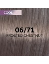 WELLA SHINEFINITY ZERO LIFT GLAZE 06/71 FROSTED CHESNUT 60ML|Mathiss