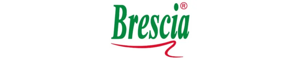Brescia