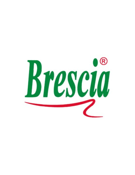 BRESCIA