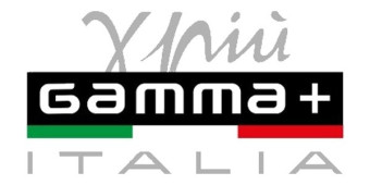 GAMMA+