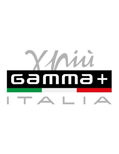 GAMMA+